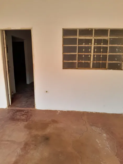 imagem 5 - Chácara - Chácara imagem 5 - Chácara - Chácara