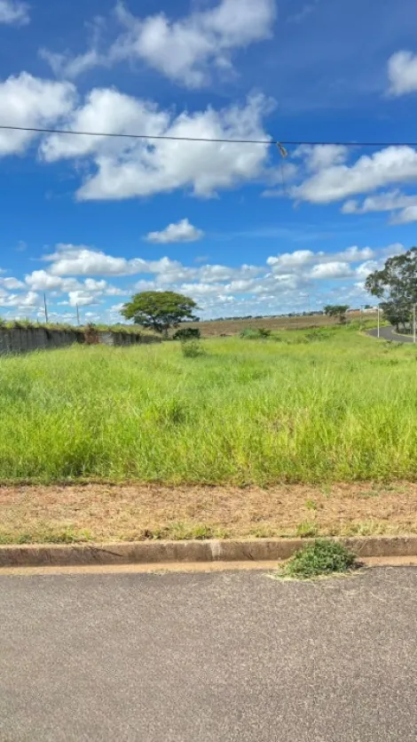 imagem 1 - Terreno - Padrão imagem 1 - Terreno - Padrão