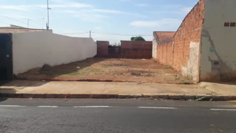 imagem 5 - Terreno - Padrão imagem 5 - Terreno - Padrão