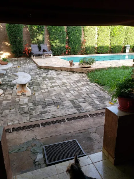 imagem 4 - Chácara - Chácara imagem 4 - Chácara - Chácara