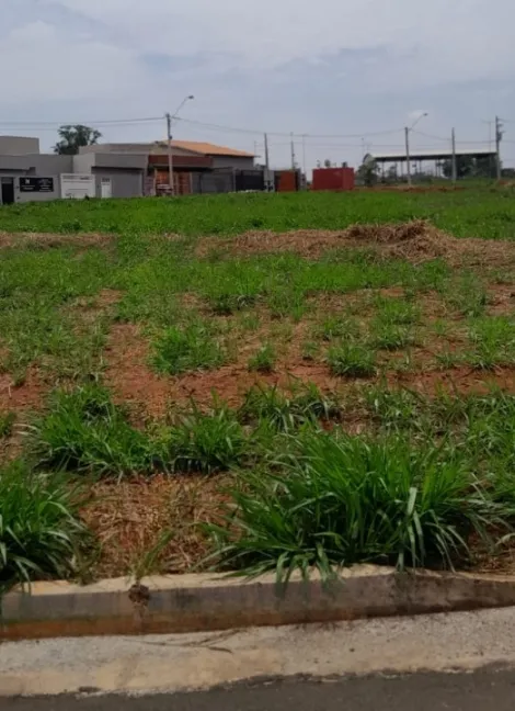 imagem 1 - Terreno - Padrão imagem 1 - Terreno - Padrão