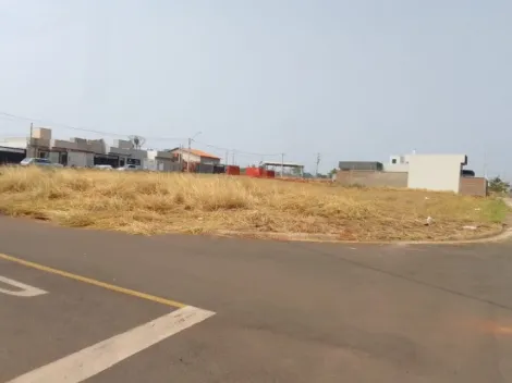 imagem 2 - Terreno - Padrão imagem 2 - Terreno - Padrão