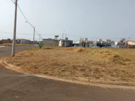 imagem 4 - Terreno - Padrão imagem 4 - Terreno - Padrão