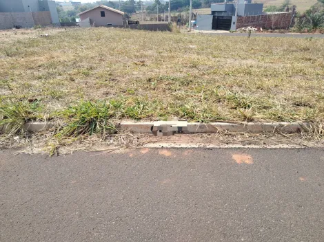 imagem 1 - Terreno - Padrão imagem 1 - Terreno - Padrão