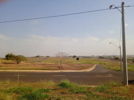 imagem 1 - Terreno - Padrão imagem 1 - Terreno - Padrão