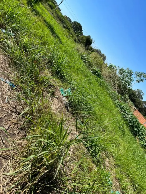 imagem 1 - Terreno - Padrão imagem 1 - Terreno - Padrão