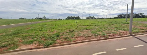 imagem 1 - Terreno - Padrão imagem 1 - Terreno - Padrão