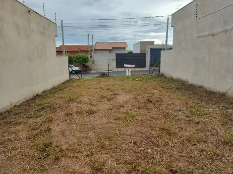 imagem 1 - Terreno - Padrão imagem 1 - Terreno - Padrão