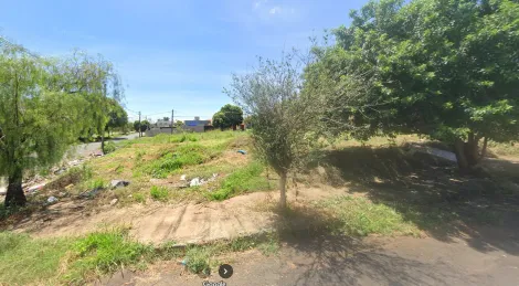 imagem 1 - Terreno - Padrão imagem 1 - Terreno - Padrão