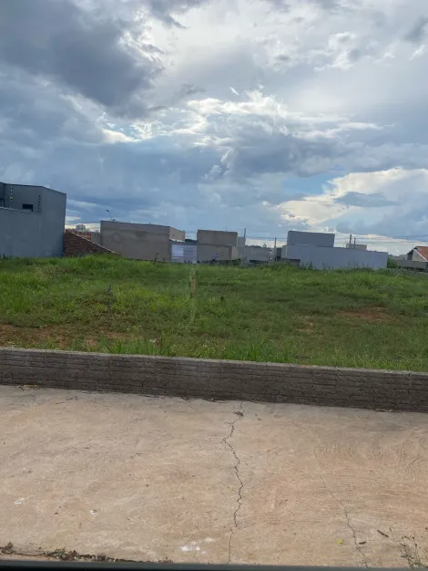 imagem 1 - Terreno - Padrão imagem 1 - Terreno - Padrão