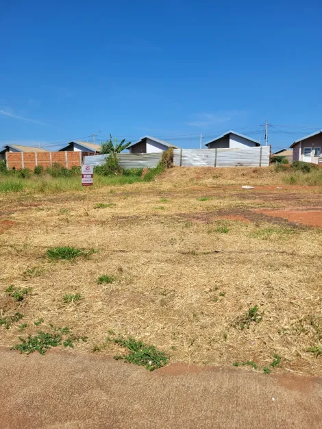 imagem 5 - Terreno - Padrão imagem 5 - Terreno - Padrão