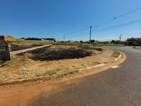 imagem 4 - Terreno - Padrão imagem 4 - Terreno - Padrão