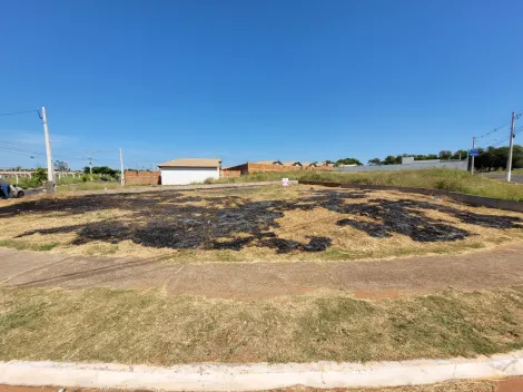 imagem 1 - Terreno - Padrão imagem 1 - Terreno - Padrão