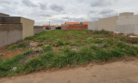 imagem 1 - Terreno - Padrão imagem 1 - Terreno - Padrão