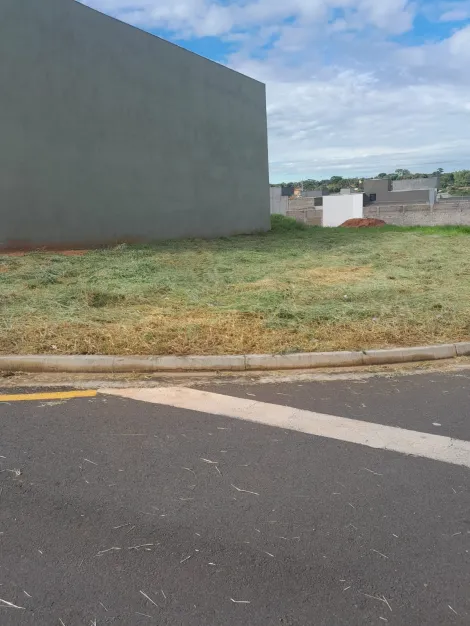 imagem 1 - Terreno - Padrão imagem 1 - Terreno - Padrão