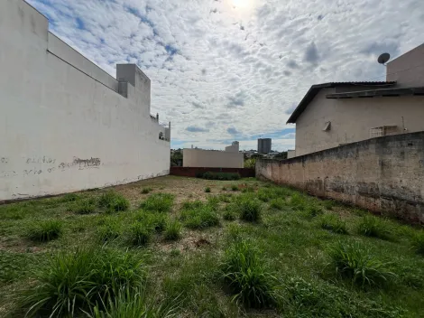 imagem 1 - Terreno - Padrão imagem 1 - Terreno - Padrão