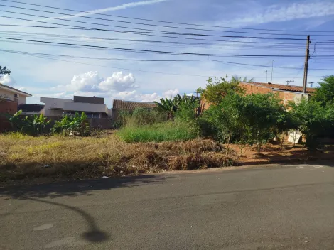 imagem 1 - Terreno - Padrão imagem 1 - Terreno - Padrão