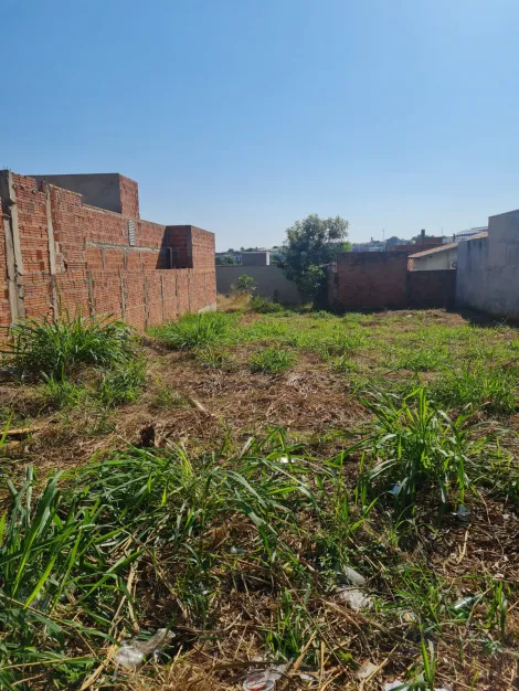 imagem 1 - Terreno no Borboleta I em Bady Bassitt imagem 1 - Terreno no Borboleta I em Bady Bassitt