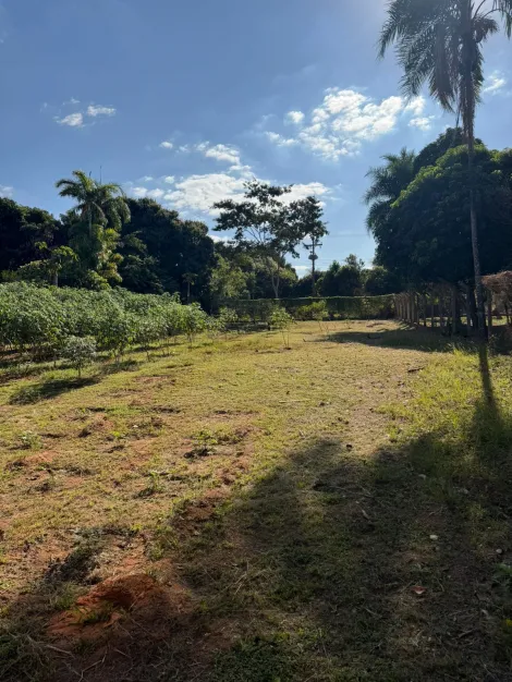 imagem 4 - Rural - Chácara imagem 4 - Rural - Chácara