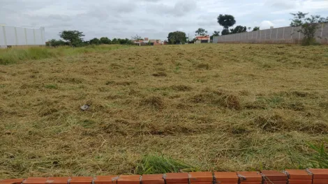 imagem 2 - Terreno comercial à venda no Industrial Alto Mirassol imagem 2 - Terreno comercial à venda no Industrial Alto Mirassol