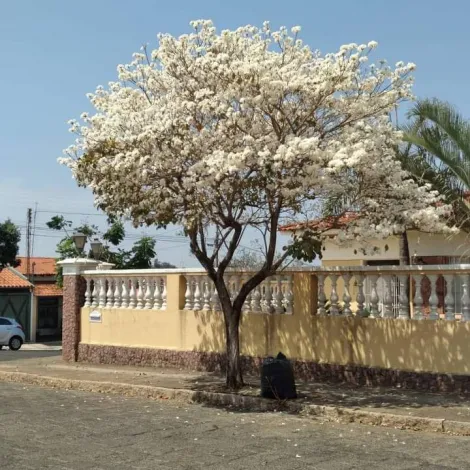 imagem 3 - Casa com 4 Quartos e Piscina à venda, 450m² - Garça/SP imagem 3 - Casa com 4 Quartos e Piscina à venda, 450m² - Garça/SP