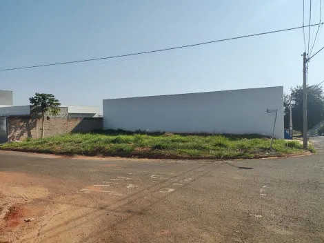 imagem 3 - Terreno Comercial à Venda em Bady Bassitt imagem 3 - Terreno Comercial à Venda em Bady Bassitt