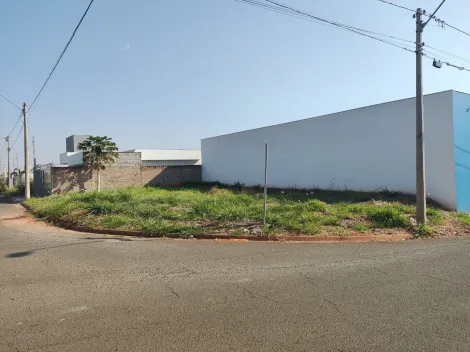 imagem 1 - Terreno Comercial à Venda em Bady Bassitt imagem 1 - Terreno Comercial à Venda em Bady Bassitt