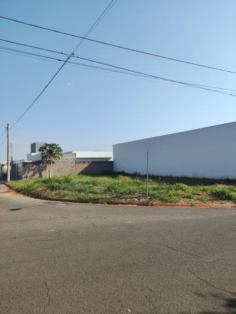 imagem 2 - Terreno Comercial à Venda em Bady Bassitt imagem 2 - Terreno Comercial à Venda em Bady Bassitt