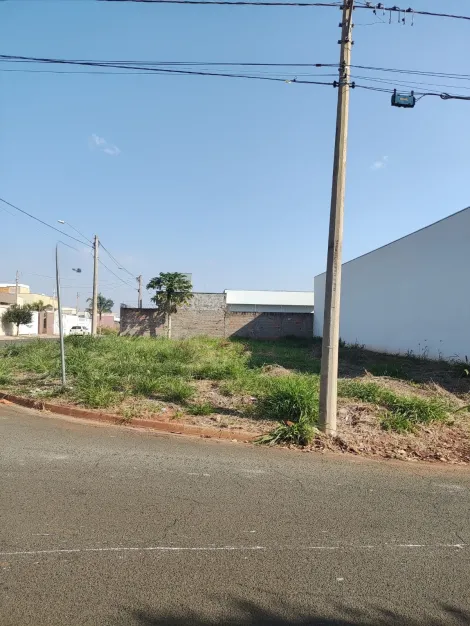 imagem 4 - Terreno Comercial à Venda em Bady Bassitt imagem 4 - Terreno Comercial à Venda em Bady Bassitt