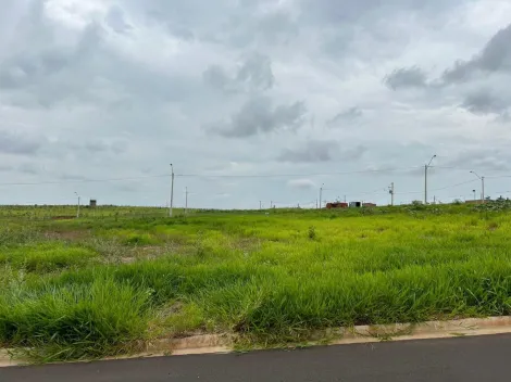 imagem 1 - Terreno á Venda no Eplatz São José do Rio Preto imagem 1 - Terreno á Venda no Eplatz São José do Rio Preto