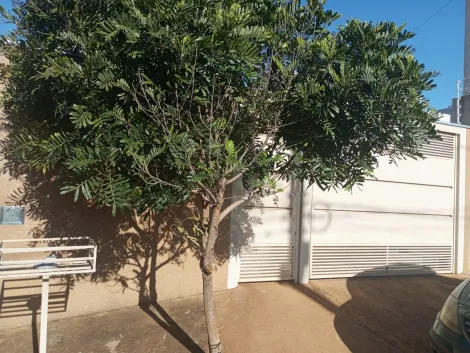imagem 2 - Casa à Venda com 2 Quartos em Bady Bassitt imagem 2 - Casa à Venda com 2 Quartos em Bady Bassitt