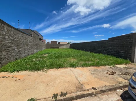 imagem 1 - Terreno - Padrão imagem 1 - Terreno - Padrão