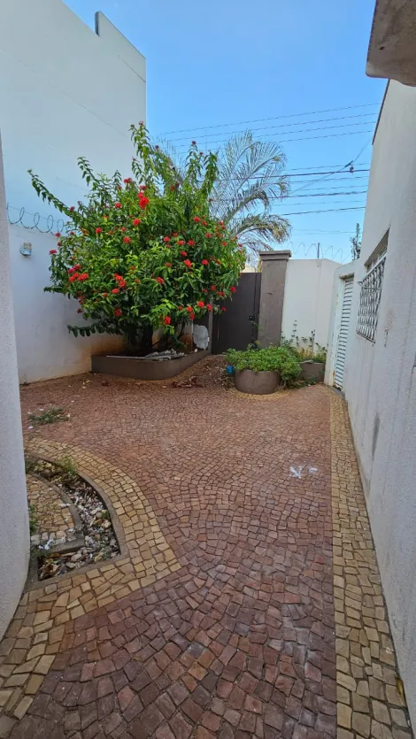 imagem 4 - Casa Comercial com Várias Salas e Quintal em Localização Estratégica para alugar - Vila São Manoel imagem 4 - Casa Comercial com Várias Salas e Quintal em Localização Estratégica para alugar - Vila São Manoel