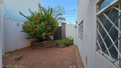 imagem 5 - Casa Comercial com Várias Salas e Quintal em Localização Estratégica para alugar - Vila São Manoel imagem 5 - Casa Comercial com Várias Salas e Quintal em Localização Estratégica para alugar - Vila São Manoel