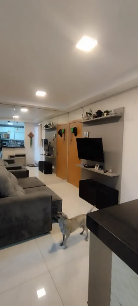 imagem 3 - Apartamento - Padrão imagem 3 - Apartamento - Padrão