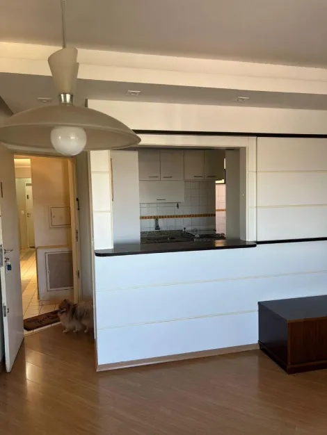 imagem 3 - Apartamento - Padrão imagem 3 - Apartamento - Padrão