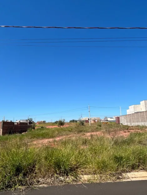 imagem 2 - Terreno - Padrão imagem 2 - Terreno - Padrão