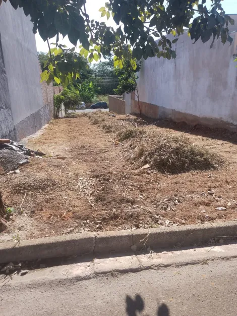 imagem 1 - Terreno - Padrão imagem 1 - Terreno - Padrão