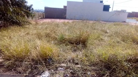 imagem 1 - Terreno à venda, 218m2, esquina, Eplatz, Rio Preto imagem 1 - Terreno à venda, 218m2, esquina, Eplatz, Rio Preto