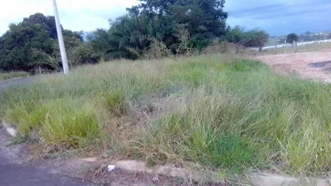 imagem 3 - Terreno à venda, 218m2, esquina, Eplatz, Rio Preto imagem 3 - Terreno à venda, 218m2, esquina, Eplatz, Rio Preto