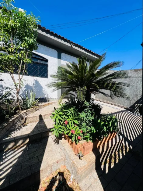 imagem 2 - Casa - Padrão imagem 2 - Casa - Padrão