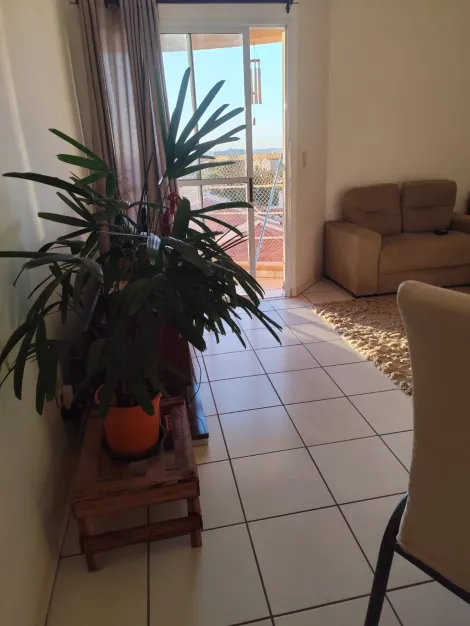 imagem 3 - Apartamento - Padrão imagem 3 - Apartamento - Padrão